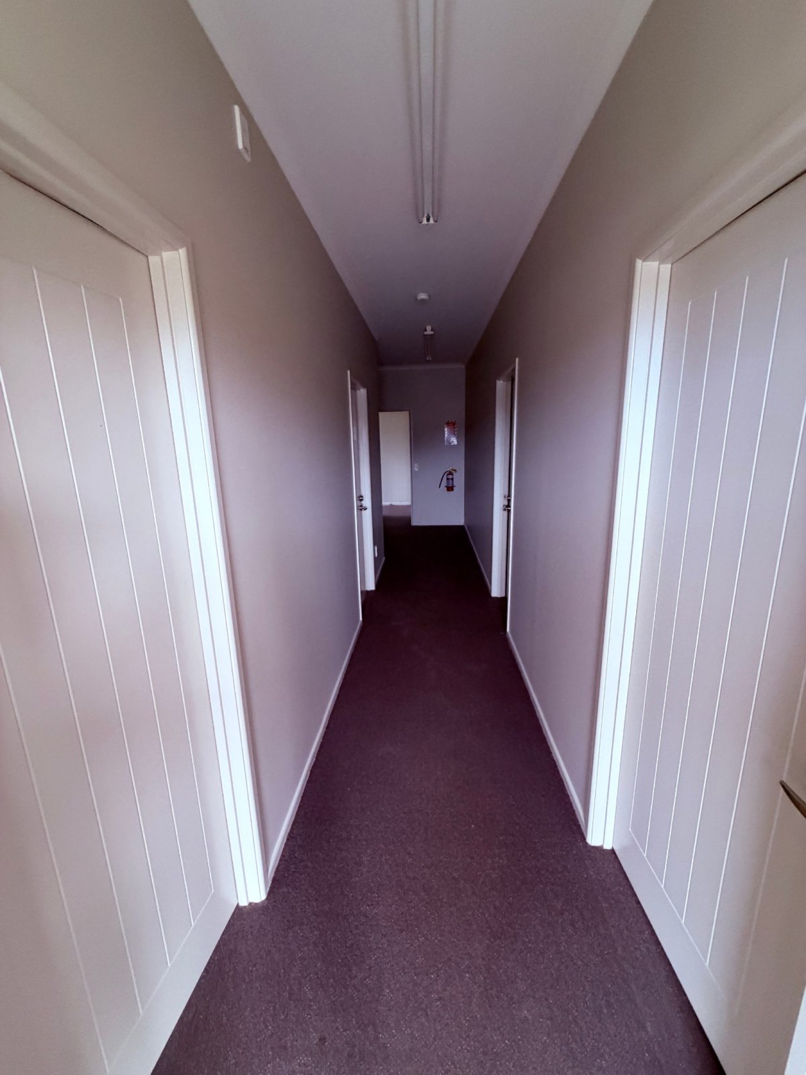 Interior hallway with freshly painted mauve walls, white-painted trim and doors, and burgundy carpeting after painting work.